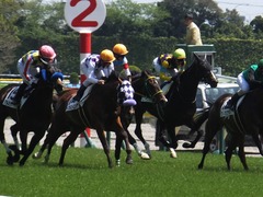 20170430 東京5R 3歳未勝利 ジュンマシュウ 20