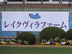 20150328 中山4R 3歳未勝利 ラッシュアタック 03