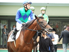 20171007 東京4R 3歳上障害未勝利 トーセンカナロア 09