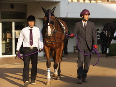 20131207 中山11R ユーロビート 02