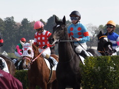 20161218 中山4R 2歳未勝利 ダンスウィズユー 19