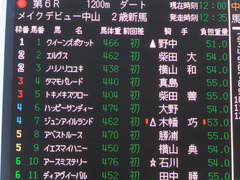 20161211 中山6R 2歳メイクデビュー ハッピーサンディー 01