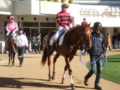 20181228 中山4R 2歳未勝利 ヤップヤップヤップ 16