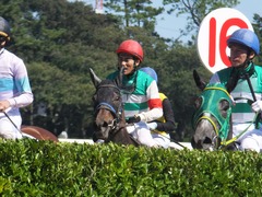 20170918 中山6R 3歳未勝利 キスミーダーリン 21