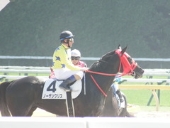 20180603 東京8R(500) ノーザンクリス 19
