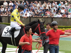 20170611 東京5R 2歳メイクデビュー 13