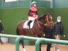 20181223 中山3R 2歳未勝利 ピンシェル 17