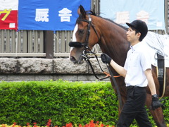 20170625 東京1R 3歳牝馬未勝利 プンメリン 08