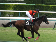 20170930 中山10R 習志野特別(1000) オウケンブラック 15