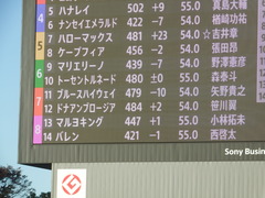 20181115 大井3R 2歳220万下 ドナアンブロージア 01