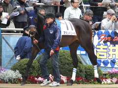 20160327 中山4R 3歳未勝利 アタンドリール 03