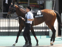 20160522 東京9R 石和特別(1000) オウケンブラック 02