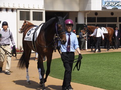 20160320 中山5R 3歳未勝利 チャオアプレスト 08