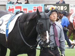 20151123 東京6R 3歳上500万下 ファインライナー 03