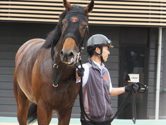 20170930 中山10R 習志野特別(1000) オウケンブラック 21