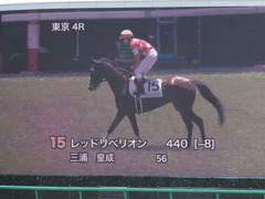 20140517 東京4R レッドリベリオン 12