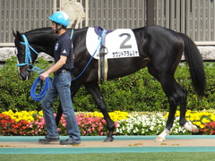 20141026 東京4R サウンドアラムシャ 05