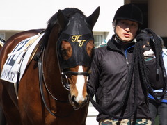 20140308 中山6R レッドリベリオン 02