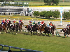 20140928 新潟11R オールカマー サトノノブレス 17