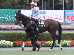 20151123 東京9R 伊勢佐木特別 ヴィルトグラーフ 10