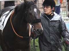 20151213 中山12R 3歳上500万下 マイネルサージュ 04