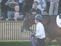 20161120 東京1R 2歳未勝利 メガポリゴン 06