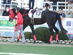 20180107 中山3R 3歳未勝利 ノーザンクリス 06