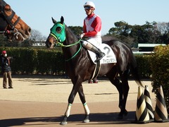 20171228 中山4R 2歳未勝利 アイコンタクト 13