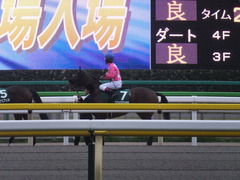 ツクバアスナロ15
