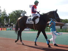 20180814 大井3R 3歳230万下 アイコンタクト 15