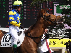 20150425 京都1R 3歳未勝利 ノアズアーク 07