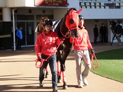 20171217 中山2R 2歳未勝利 ノーザンクリス 03