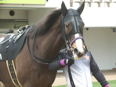20190323 中山9R ミモザ賞 3歳牝馬(500) トロハ 04