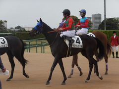 20180407 中山3R 3歳未勝利 ラプターゲイル 15