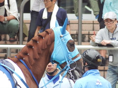 20180922 中山2R 2歳牝馬未勝利 ヴァルドワーズ 10