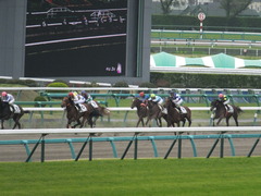 20150419 中山3R 3歳未勝利 トーセンバンビーナ 11