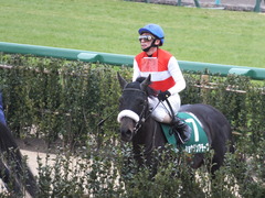 20150307 中山11R オーシャンS(G3) ショウナンアチーヴ 10