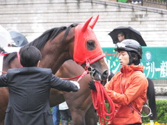 20161119 東京1R 2歳未勝利 パイオニアワーク 09