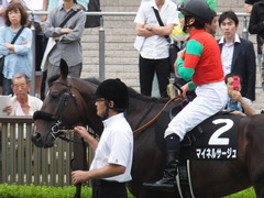 20160619 東京9R 芦ノ湖特別(1000) マイネルサージュ 18