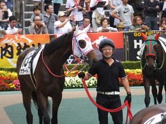 20170611 東京6R 2歳牝馬メイクデビュー サラート 02
