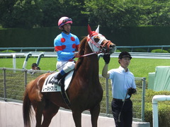 20160618 阪神8R 3歳上牝馬500万下 レーヌドブリエ 21