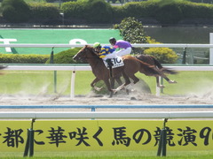 20150425 京都1R 3歳未勝利 ノアズアーク 13