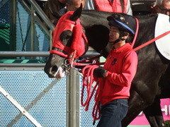 20190114 中山8R 4歳上(500) ノーザンクリス 04