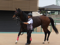 20170930 中山10R 習志野特別(1000) オウケンブラック 24