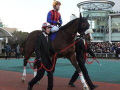 20151229 大井10R 東京大賞典 (G1) ユーロビート 20