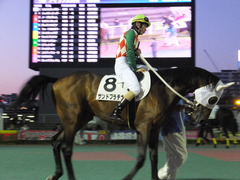 20160518 大井9R アイラブ大井賞 3歳 サンドプラチナ 09