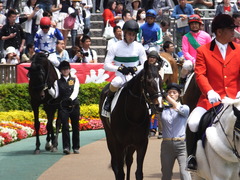 20160514 東京5R 3歳牝馬未勝利 ツボミ 16
