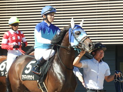 20180909 中山9R 木更津特別(1000) アドマイヤシナイ 13
