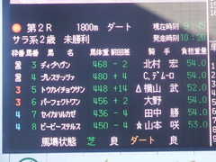 20181228 中山2R 2歳牝馬未勝利 パーフェクトワン 01