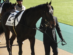 20141122 東京3R コスモポッポ 08